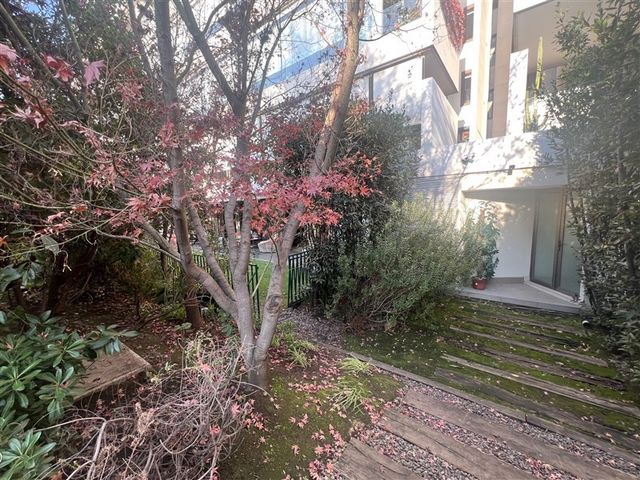 place photo 43