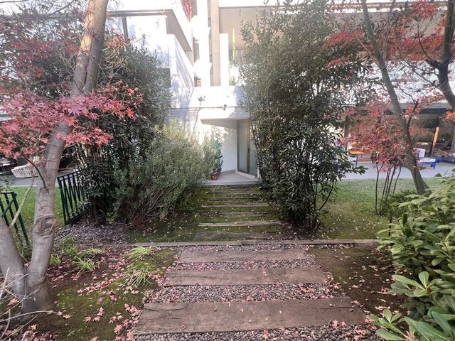 place photo 42
