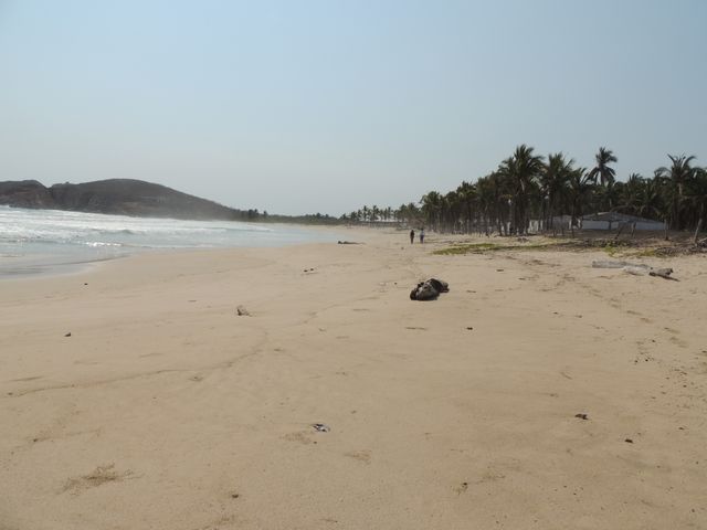 place photo 28
