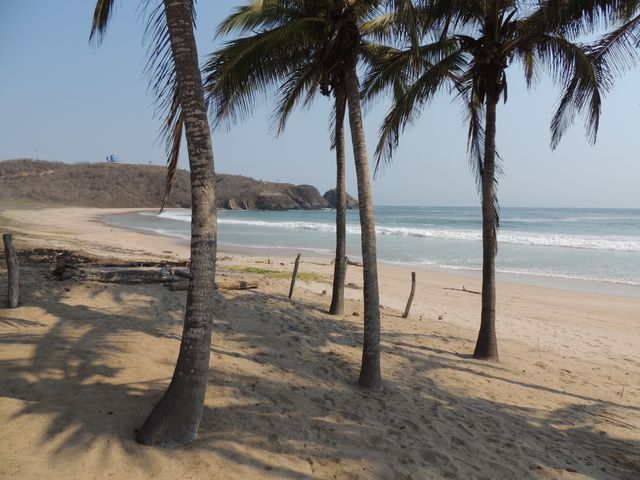 place photo 16