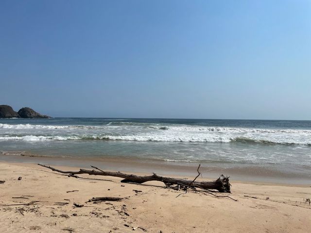 place photo 32