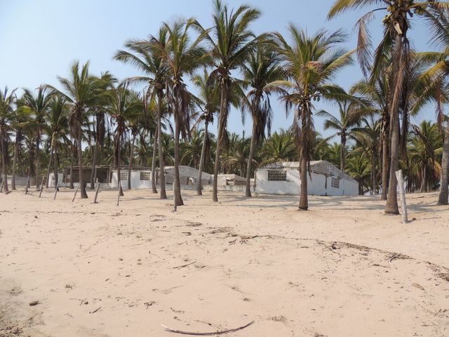 place photo 23