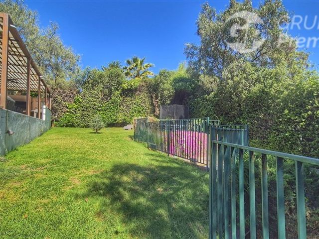 place photo 75