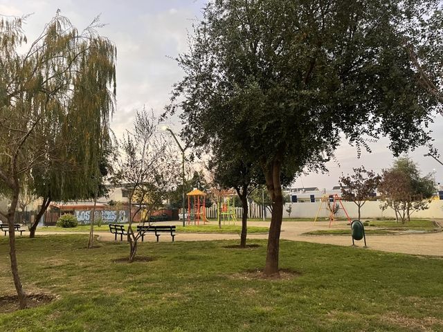 place photo 15