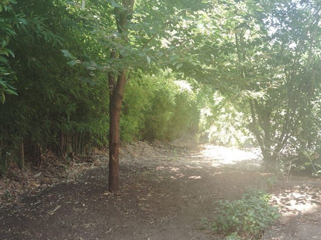 place photo 38