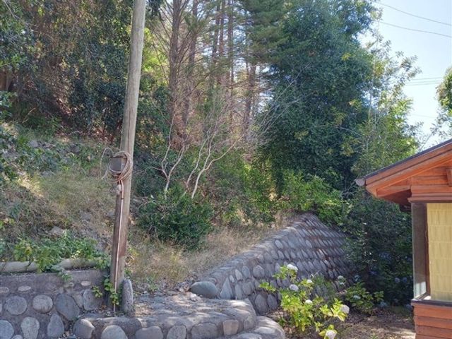 place photo 39
