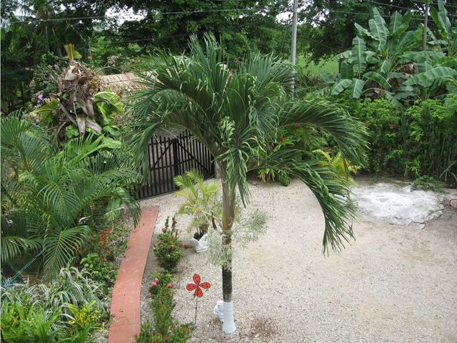 place photo 21