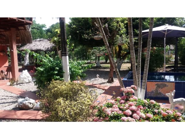 place photo 16