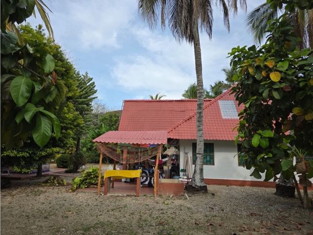 place photo 24