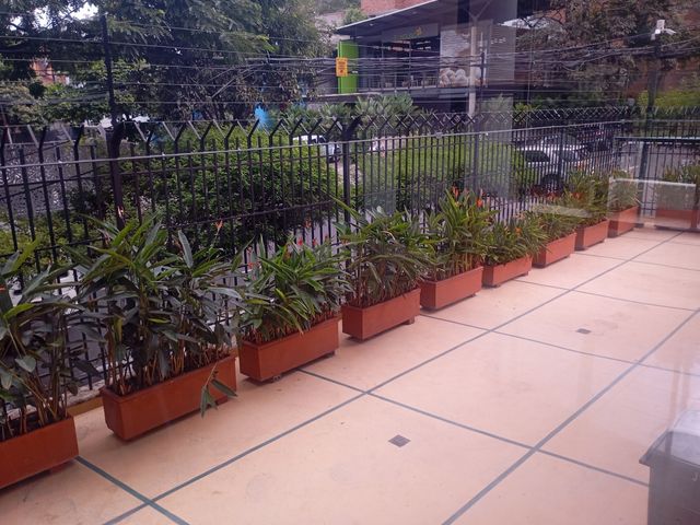 place photo 18