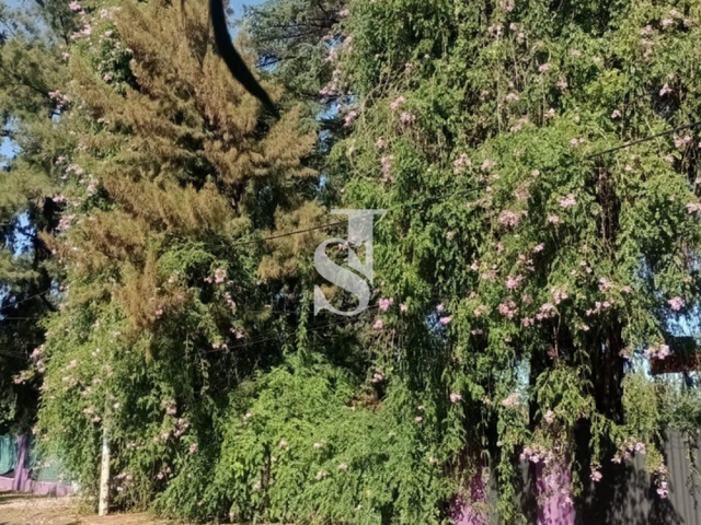 place photo 33