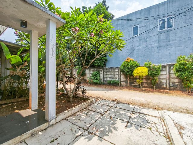 place photo 32