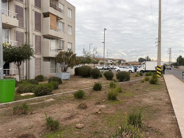 place photo 23