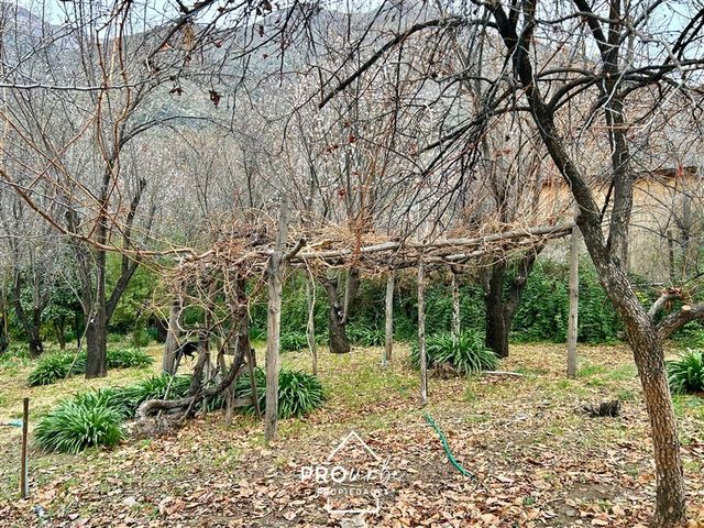 place photo 40