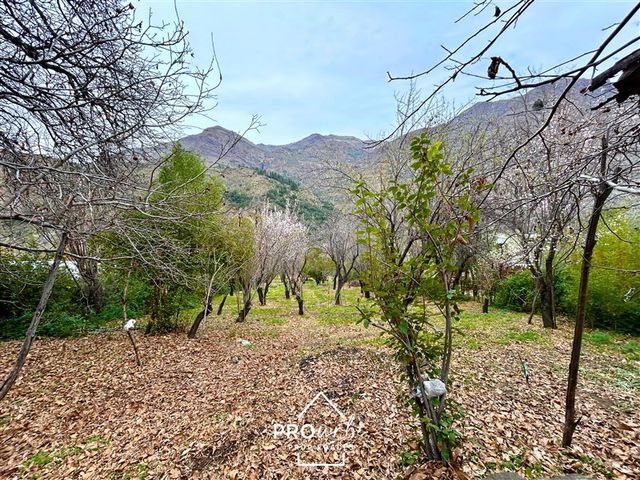 place photo 37