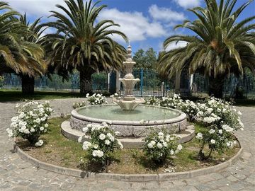 place photo 18
