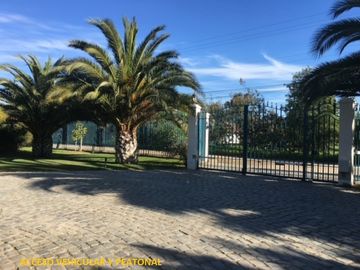 place photo 21