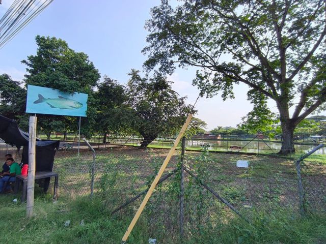 place photo 20