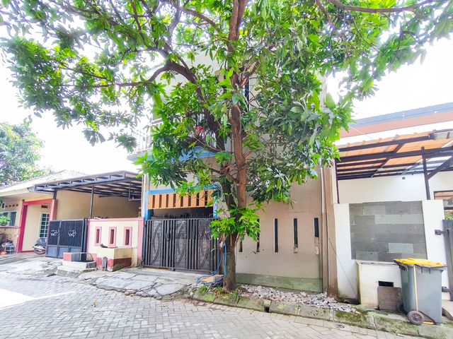 place photo 34