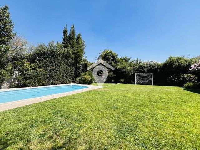 place photo 40