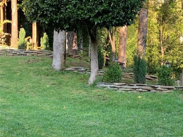 place photo 48