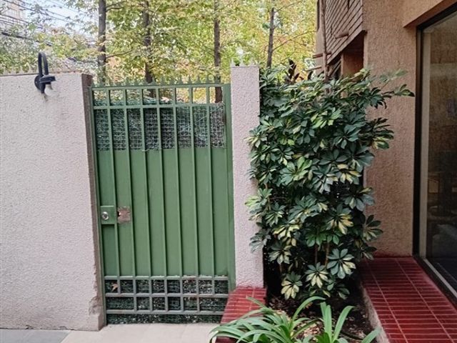 place photo 23