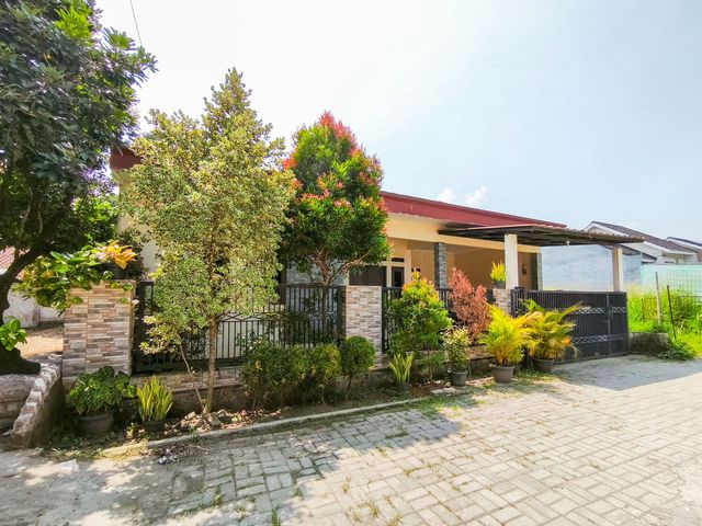 place photo 43