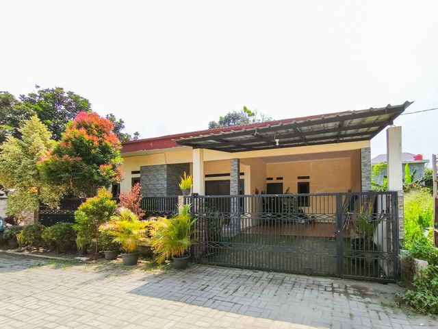 place photo 42