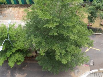 place photo 20