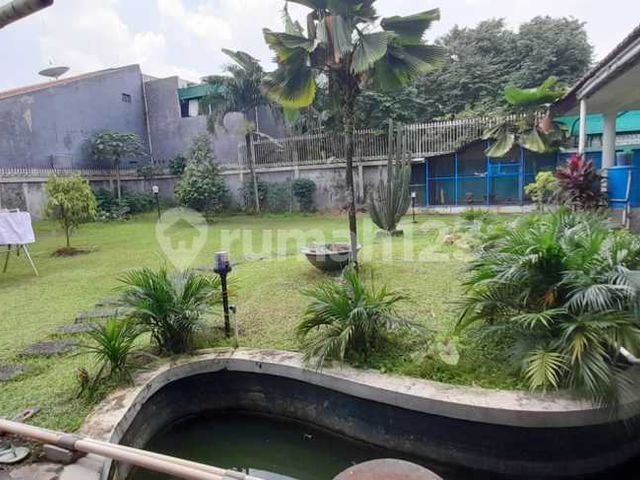place photo 17