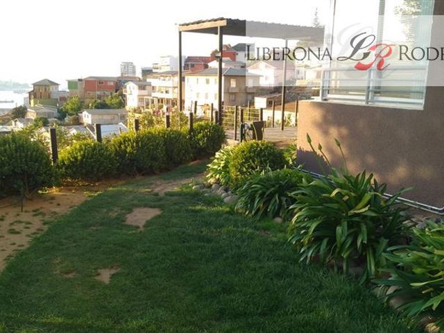 place photo 17