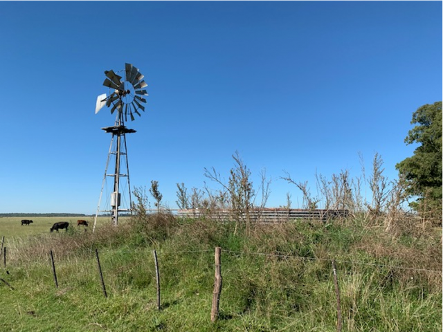 place photo 22