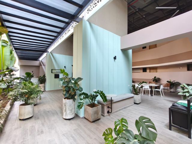 place photo 24