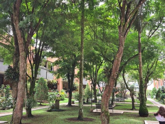 place photo 15
