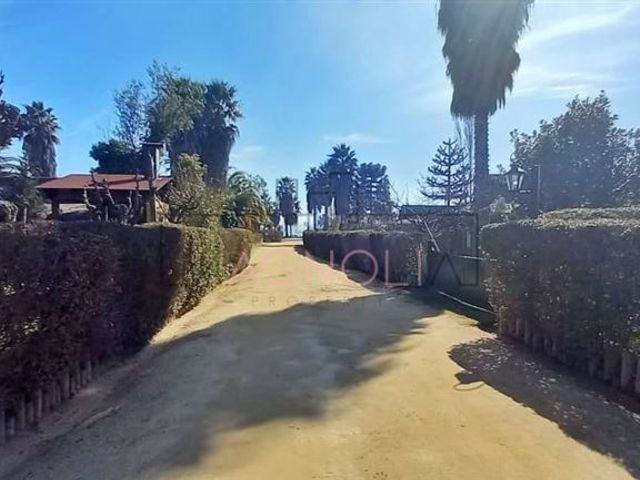 place photo 41