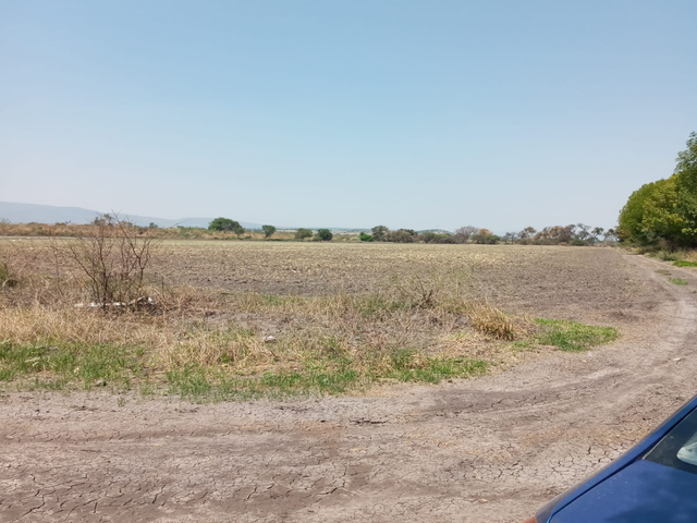 place photo 41