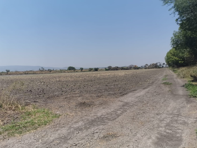 place photo 37