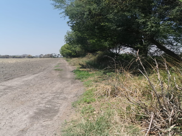 place photo 35
