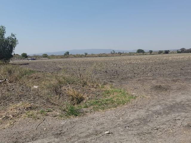 place photo 33