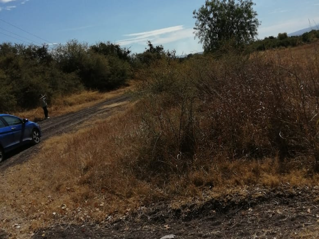 place photo 25