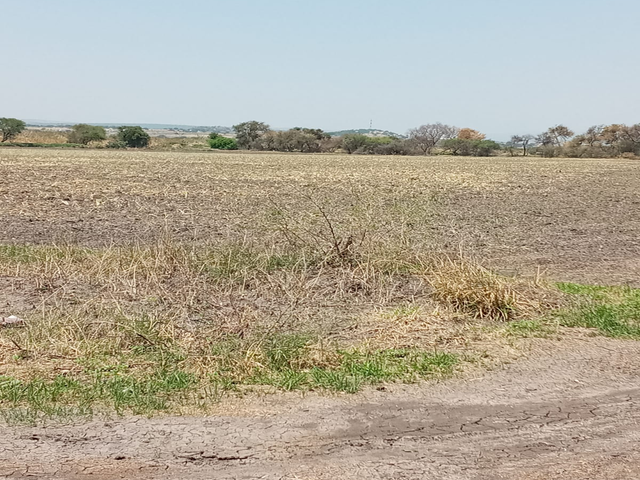 place photo 42