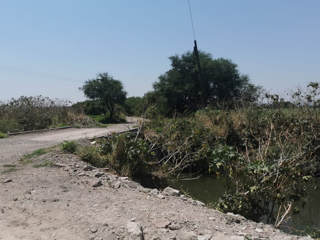 place photo 40