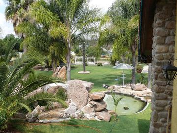 place photo 12