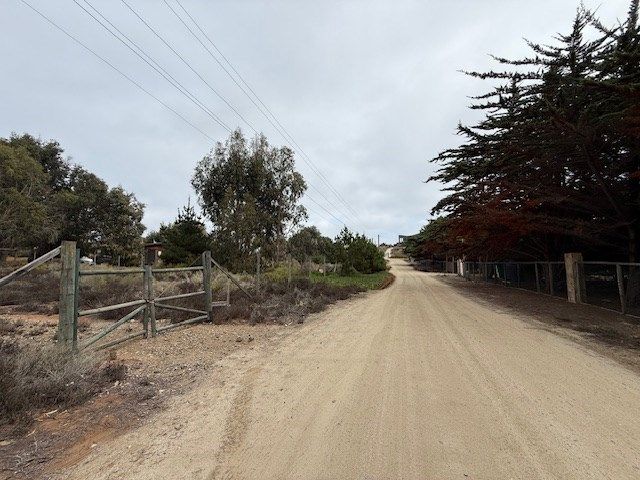 place photo 22