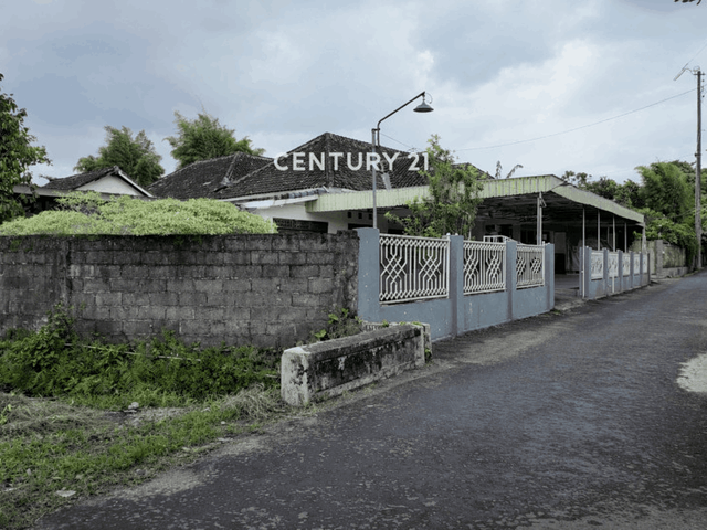 place photo 10
