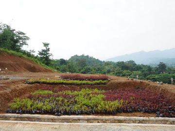 Bagendung, Cilegon, Banten, Indonesia