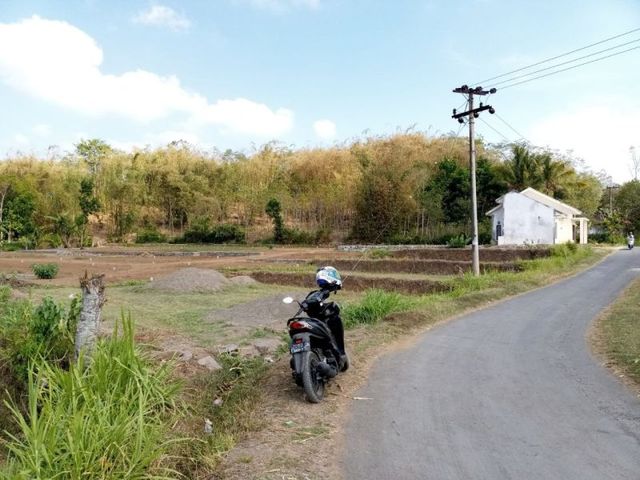 place photo 1