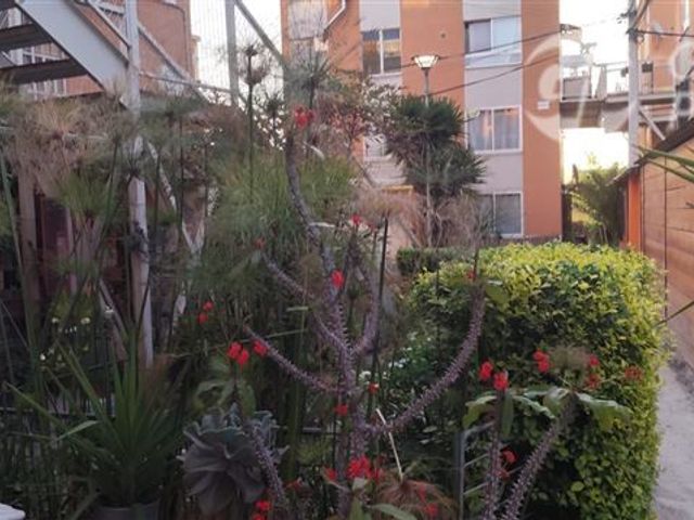 place photo 20