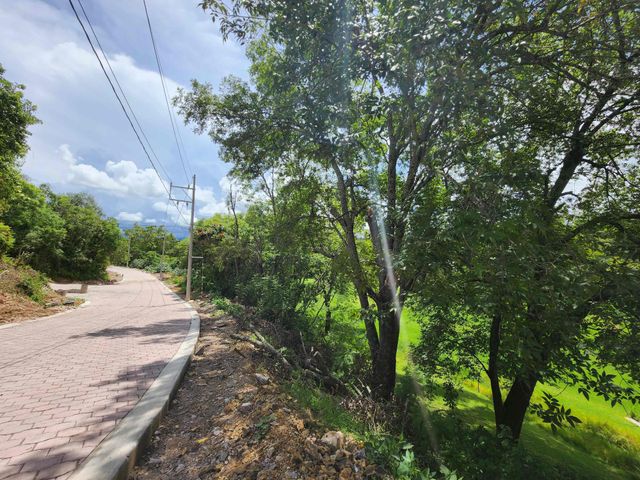 place photo 22