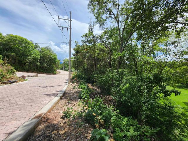 place photo 29
